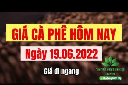 Vietnam coffee prices June 19, 2022