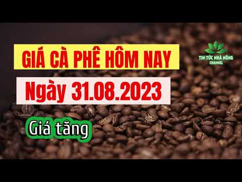 Vietnam coffee prices August 31, 2023