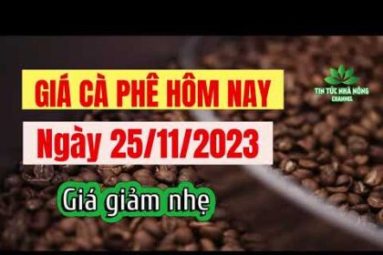 Vietnam coffee prices November 25, 2023