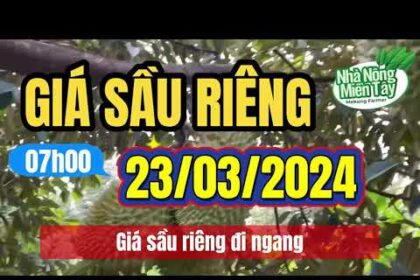 Vietnam durian prices March 23, 2024