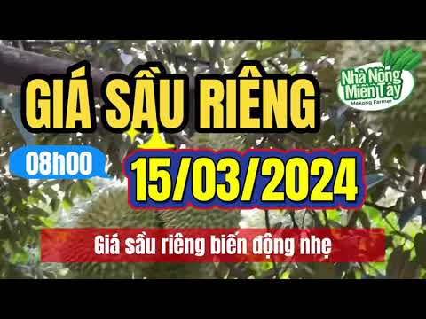 Vietnam durian prices March 15, 2024