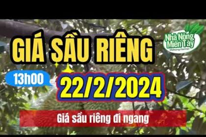 Vietnam durian prices February 22, 2024
