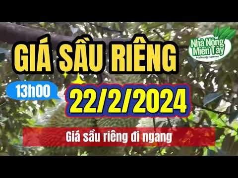 Vietnam durian prices February 22, 2024