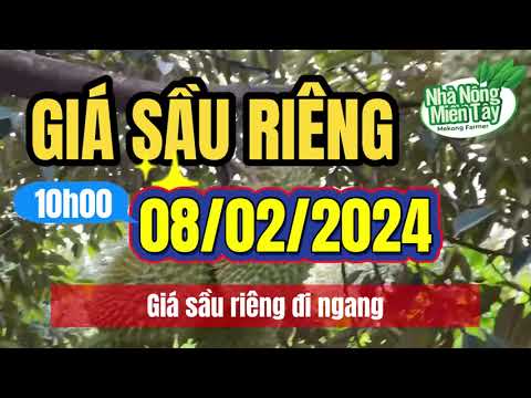Vietnam durian prices February 8, 2024