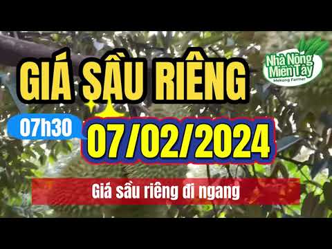 Vietnam durian prices February 7, 2024