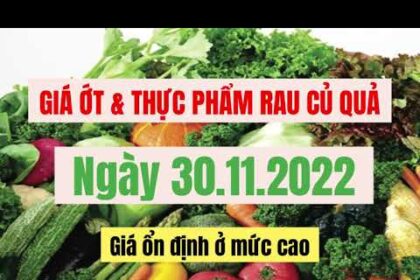 vegetables, fruits and food price November 30, 2022