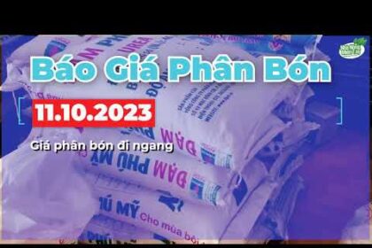 Vietnam fertilizer prices October 11, 2023