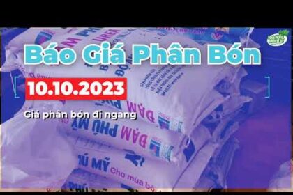 Vietnam fertilizer prices October 10, 2023