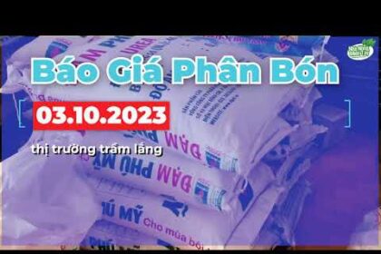 Vietnam fertilizer prices October 3, 2023
