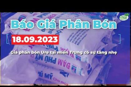 Vietnam fertilizer prices September 18, 2023