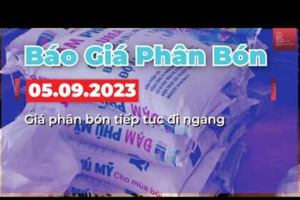 Vietnam fertilizer prices September 5, 2023