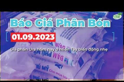 Vietnam fertilizer prices September 1, 2023