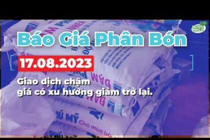 Vietnam fertilizer prices August 17, 2023