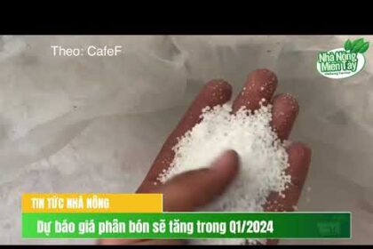Fertilizer prices