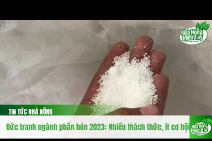 Fertilizer news