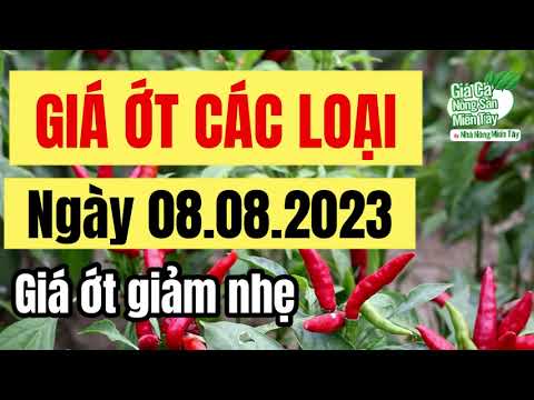 chili price August 8, 2023