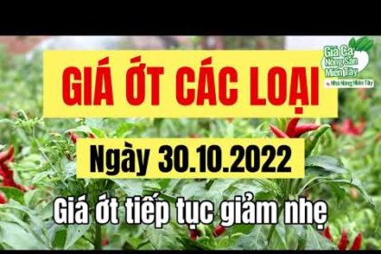 chili prices October 30, 2022