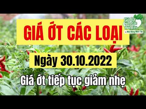 chili prices October 30, 2022