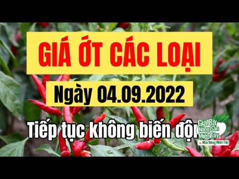 chili prices September 4, 2022