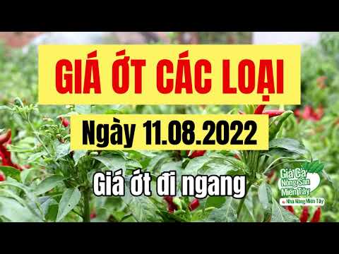 chili prices August 11, 2022