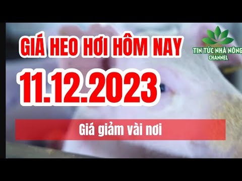 Vietnam live hog prices December 11, 2023