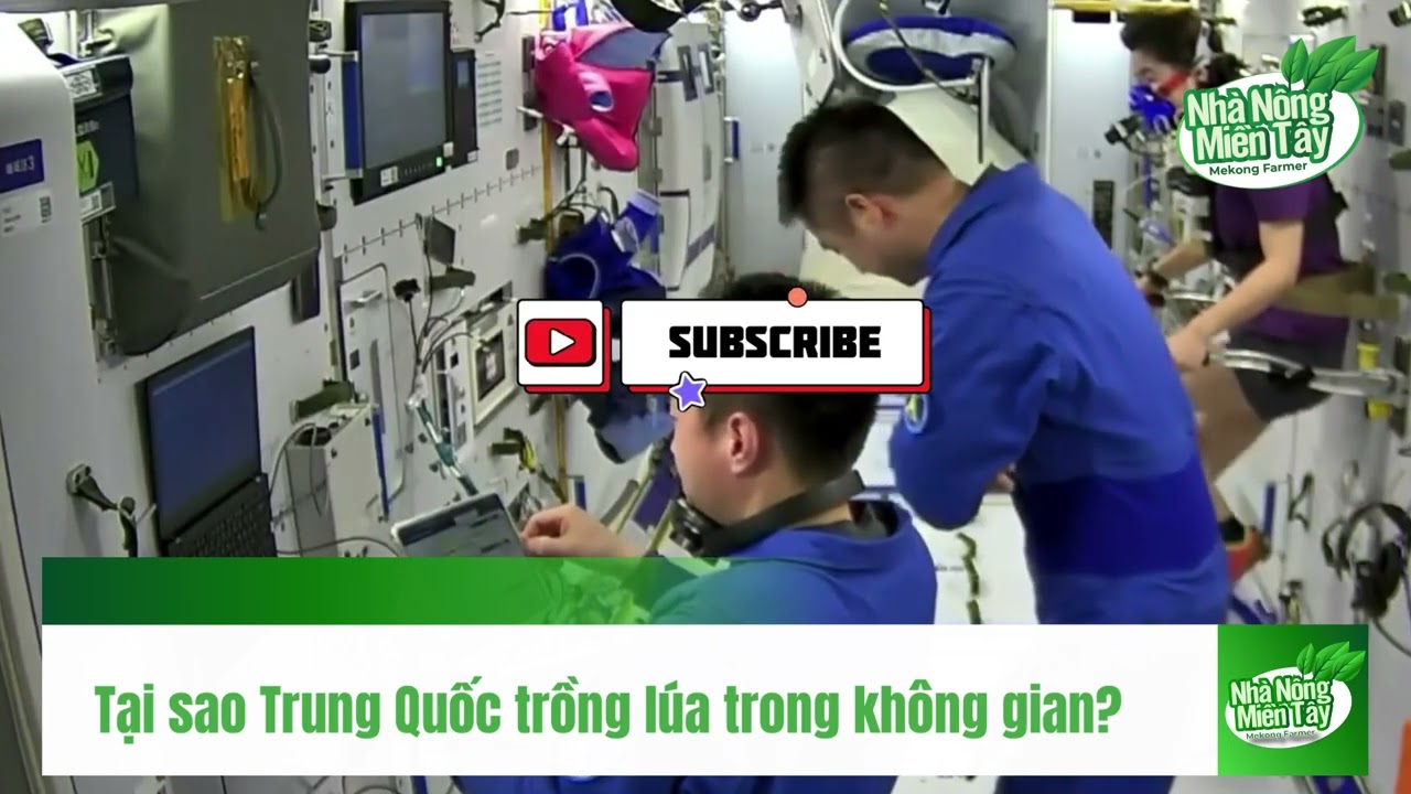 China growing rice in space
