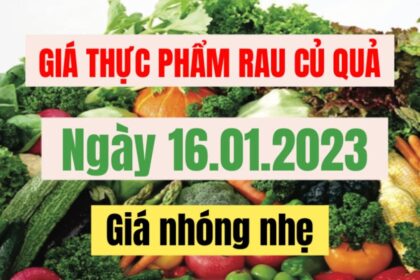 vegetables, fruits and food price January 16, 2023
