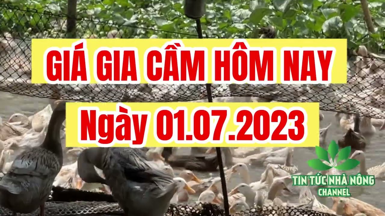 Vietnam poultry prices July 1, 2023