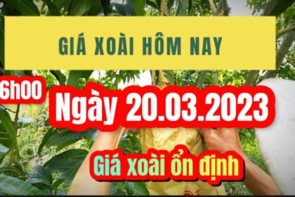 citrus fruit prices March 20, 2023