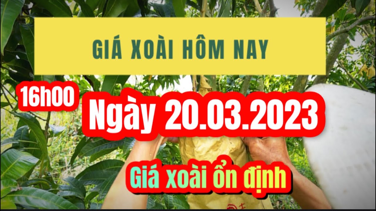 citrus fruit prices March 20, 2023