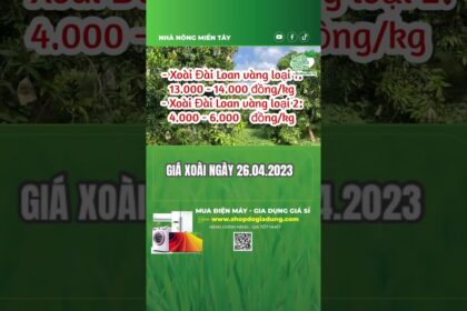 citrus fruit prices April 26, 2023