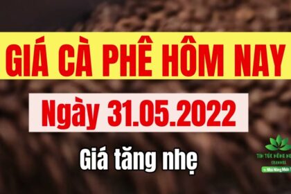 Vietnam coffee prices May 31, 2022