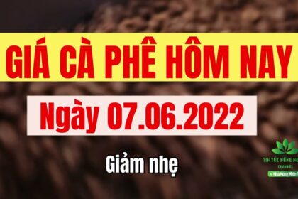 Vietnam coffee prices June 7, 2022