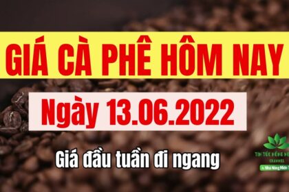 Vietnam coffee prices June 13, 2022