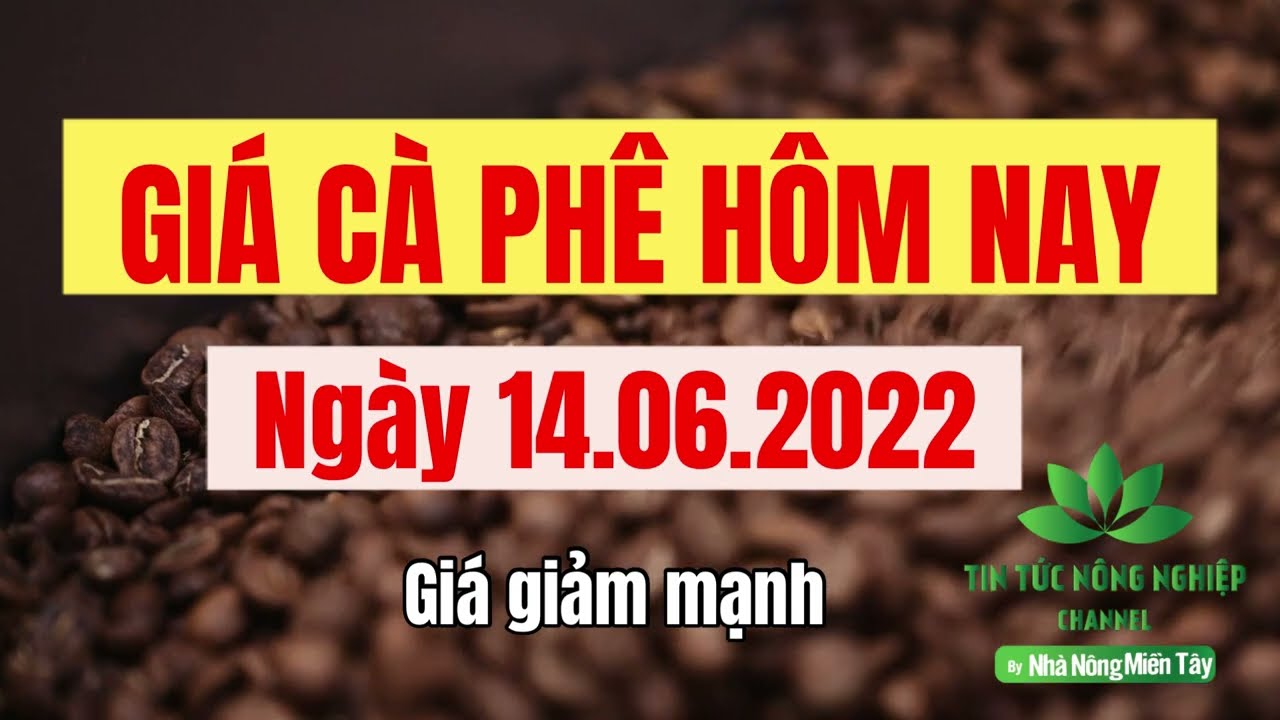 Vietnam coffee prices June 14, 2022