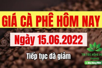 Vietnam coffee prices June 15, 2022