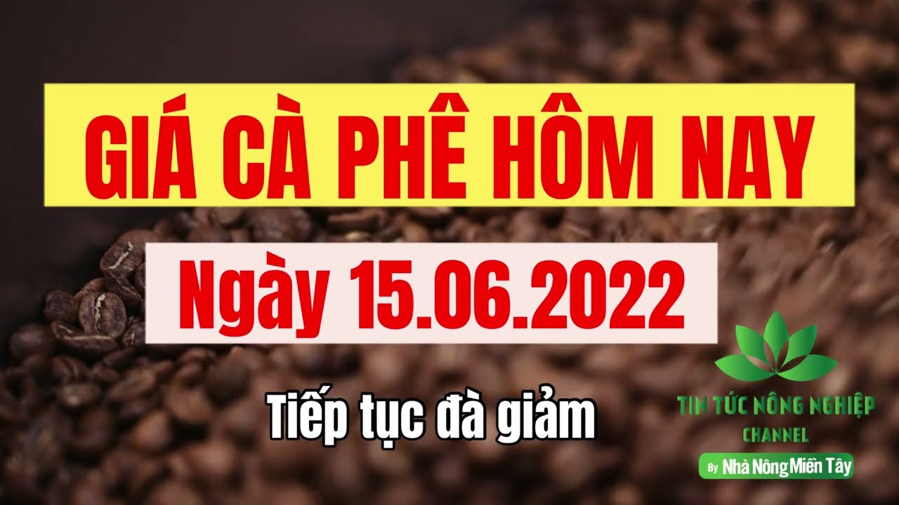 Vietnam coffee prices June 15, 2022