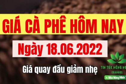 Vietnam coffee prices June 18, 2022