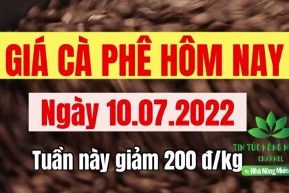Vietnam coffee prices July 10, 2022