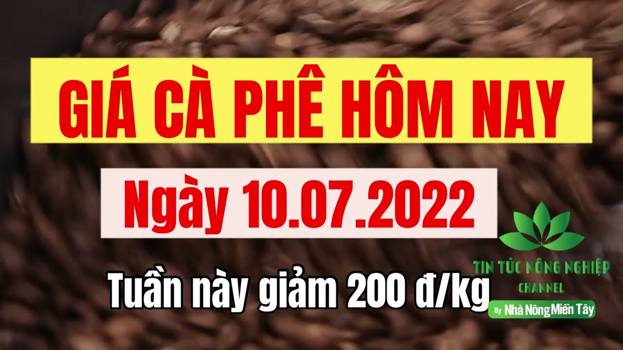 Vietnam coffee prices July 10, 2022