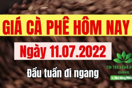 Vietnam coffee prices July 11, 2022
