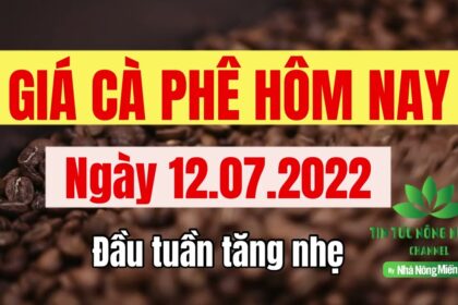 Vietnam coffee prices July 12, 2022