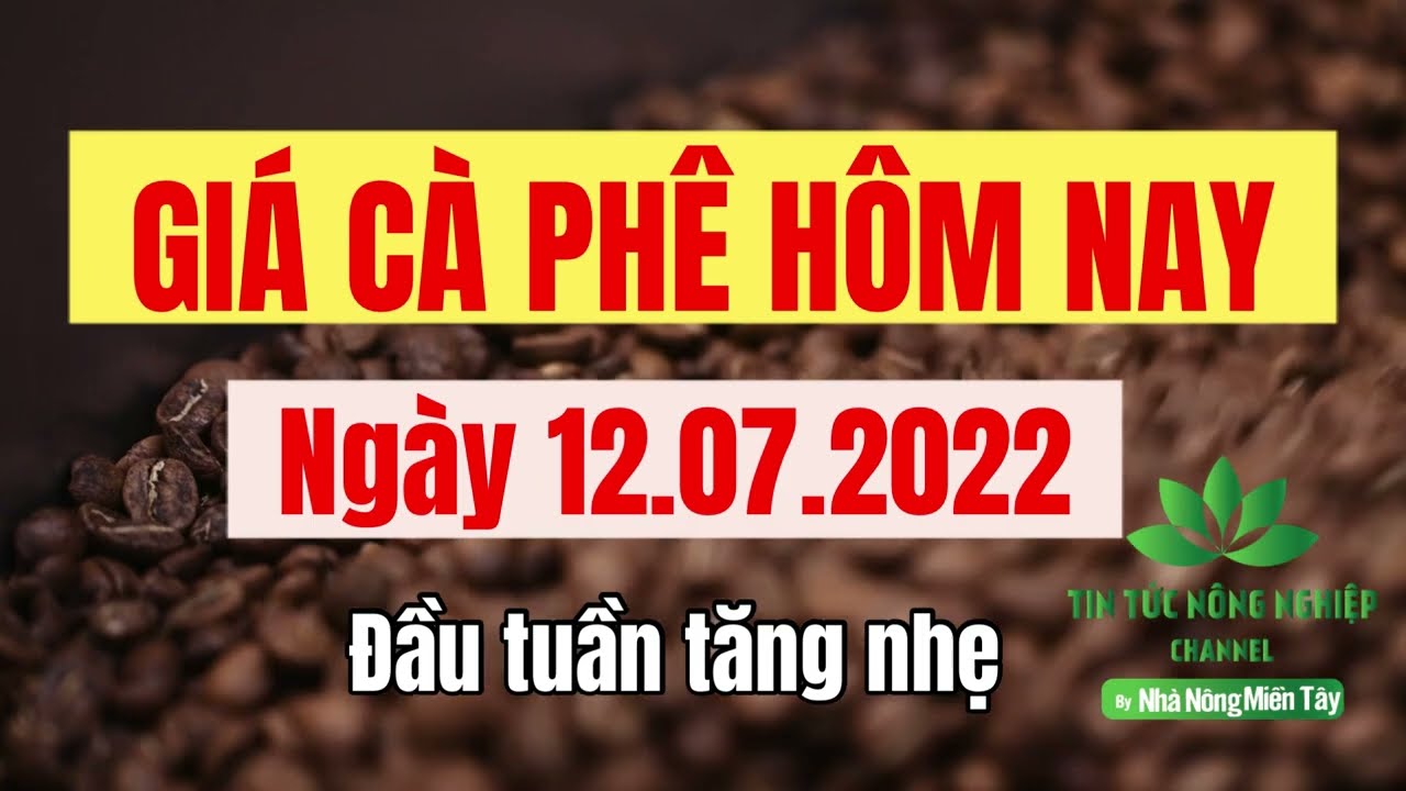 Vietnam coffee prices July 12, 2022