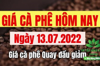 Vietnam coffee prices July 13, 2022