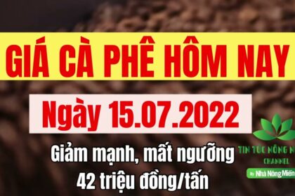 Vietnam coffee prices July 15, 2022