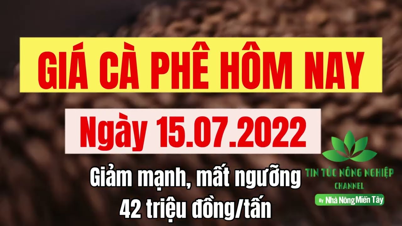Vietnam coffee prices July 15, 2022