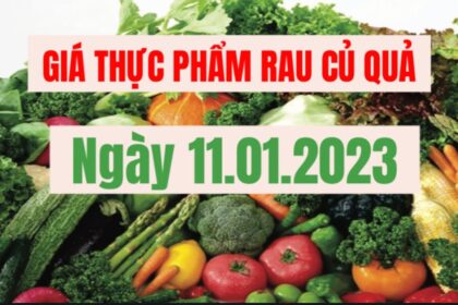 vegetables, fruits and food price January 11, 2023
