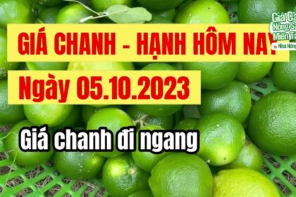 lime prices October 5, 2023