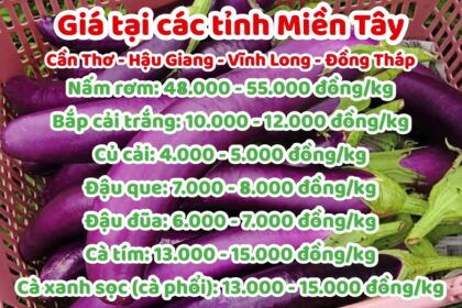 vegetables, fruits and food price January 7, 2023