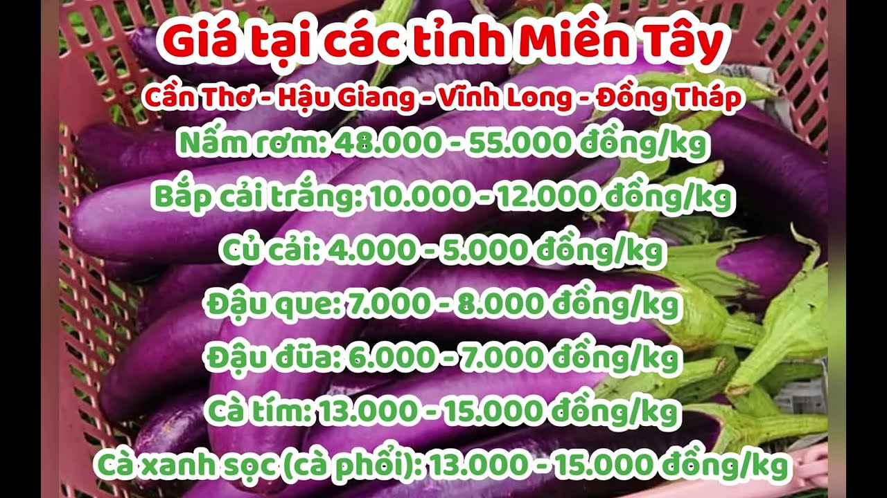 vegetables, fruits and food price January 7, 2023